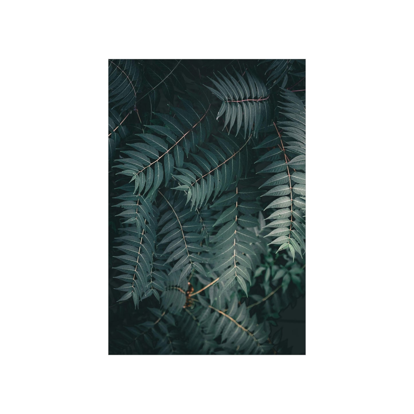 "Green" Premium Matte Vertical Posters