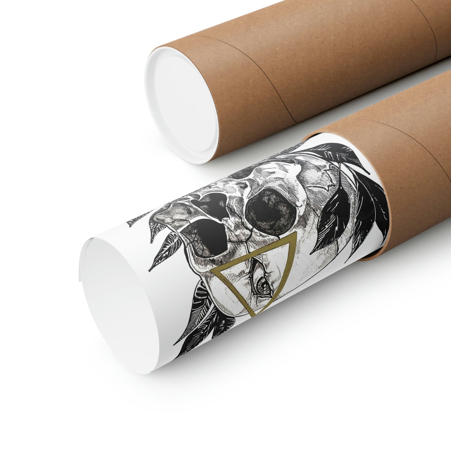 "Apollo" Premium Matte Vertical Poster