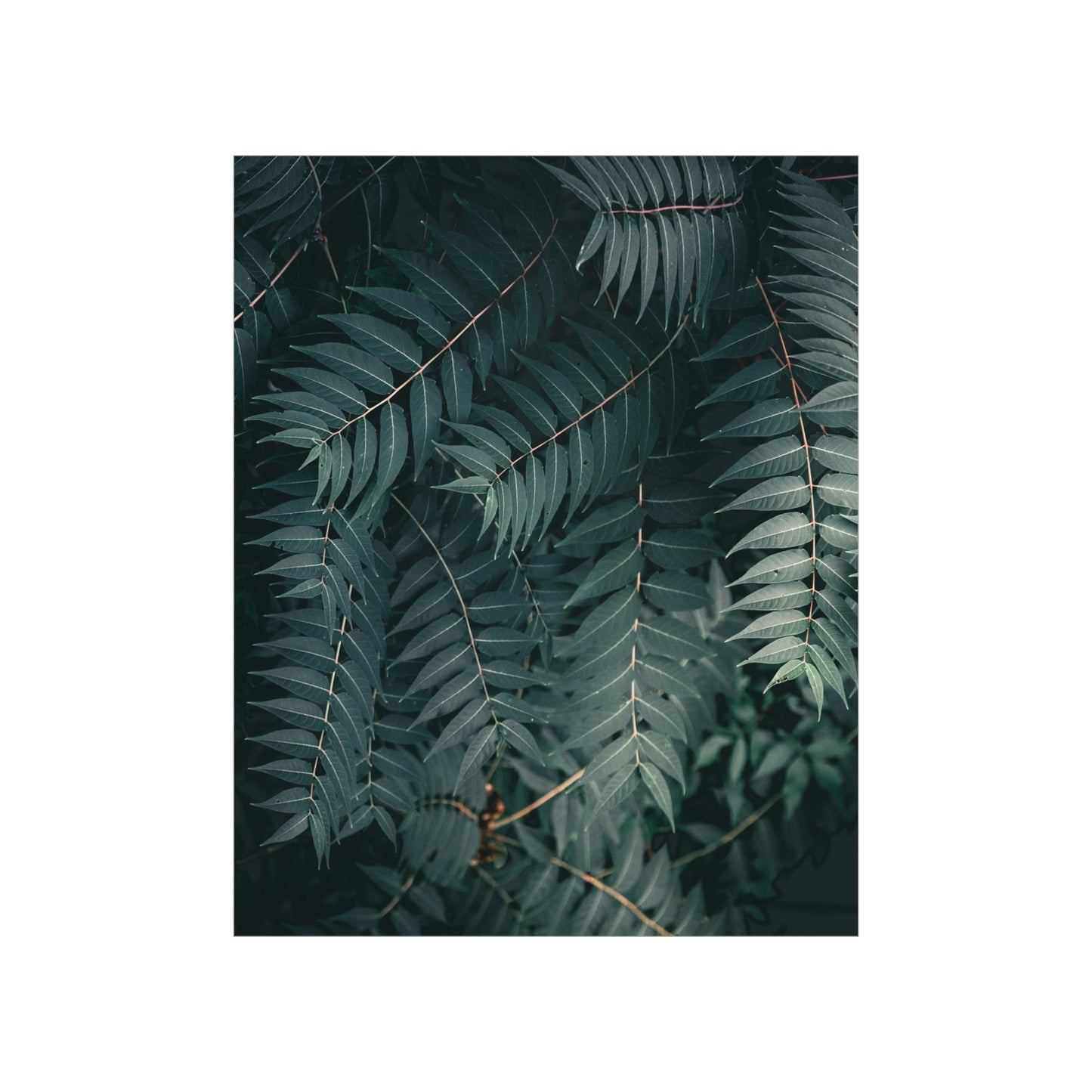 "Green" Premium Matte Vertical Posters