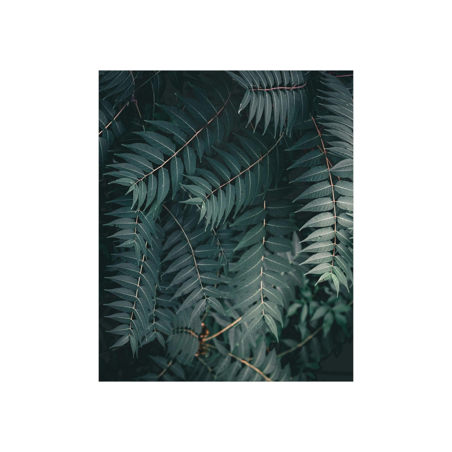 "Green" Premium Matte Vertical Posters