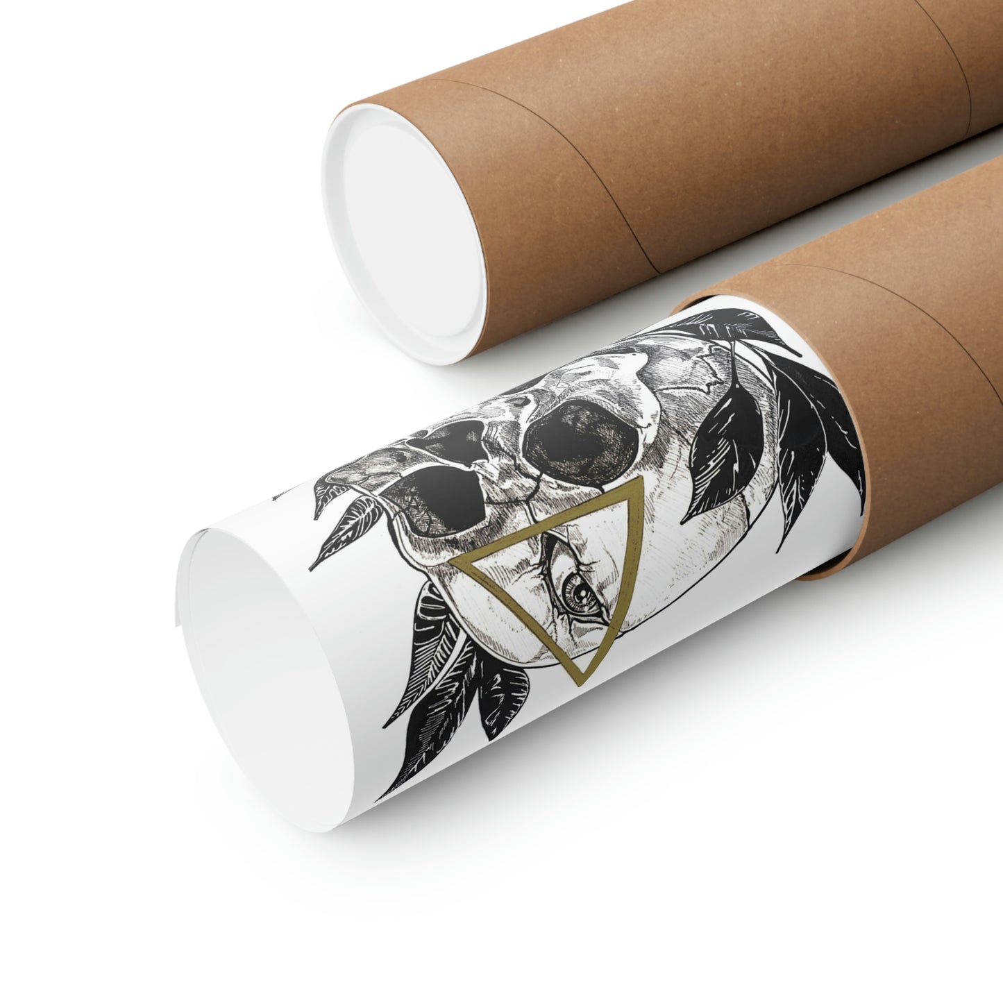 "Apollo" Premium Matte Vertical Poster