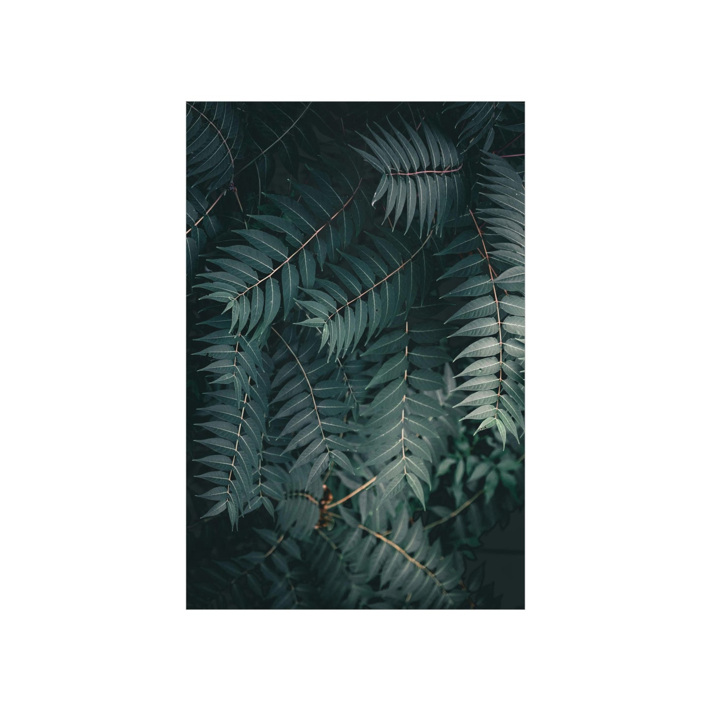 "Green" Premium Matte Vertical Posters