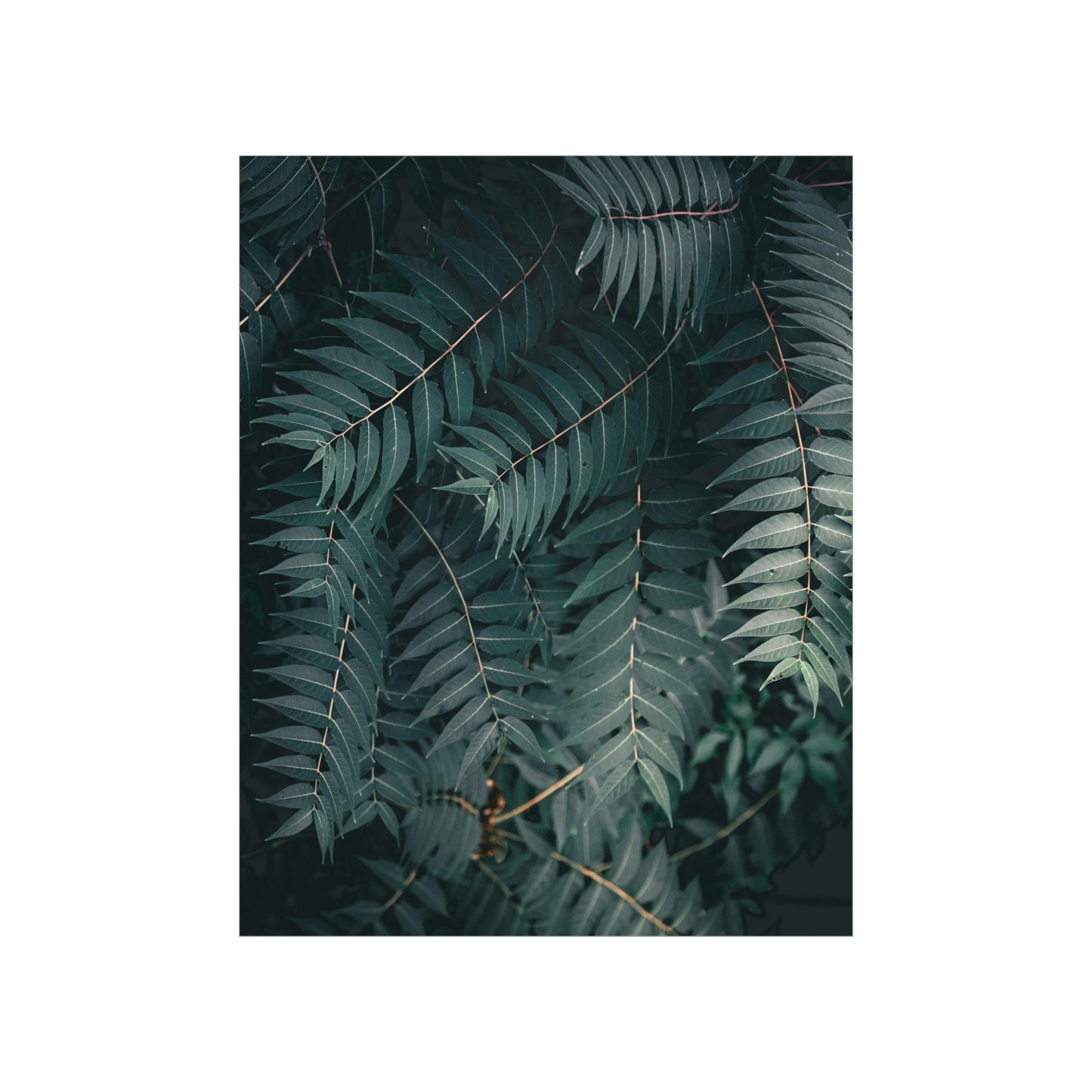 "Green" Premium Matte Vertical Posters