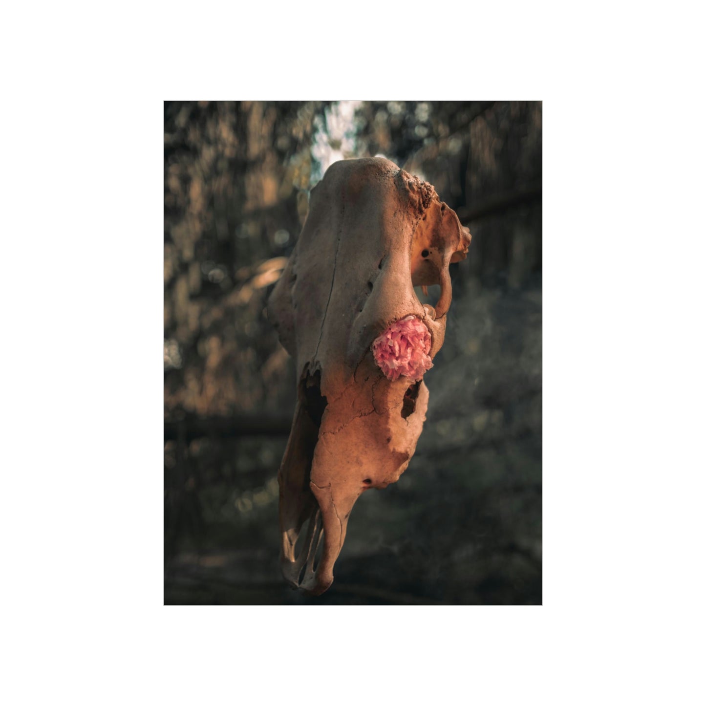 "In Bloom" Premium Matte Vertical Posters