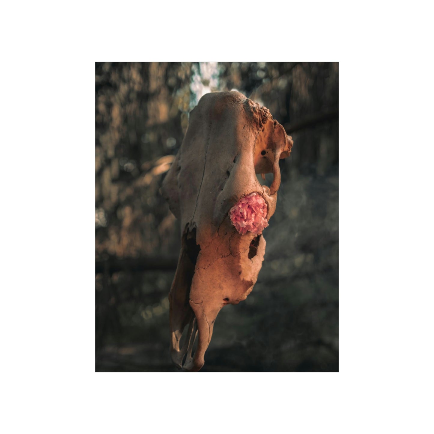 "In Bloom" Premium Matte Vertical Posters