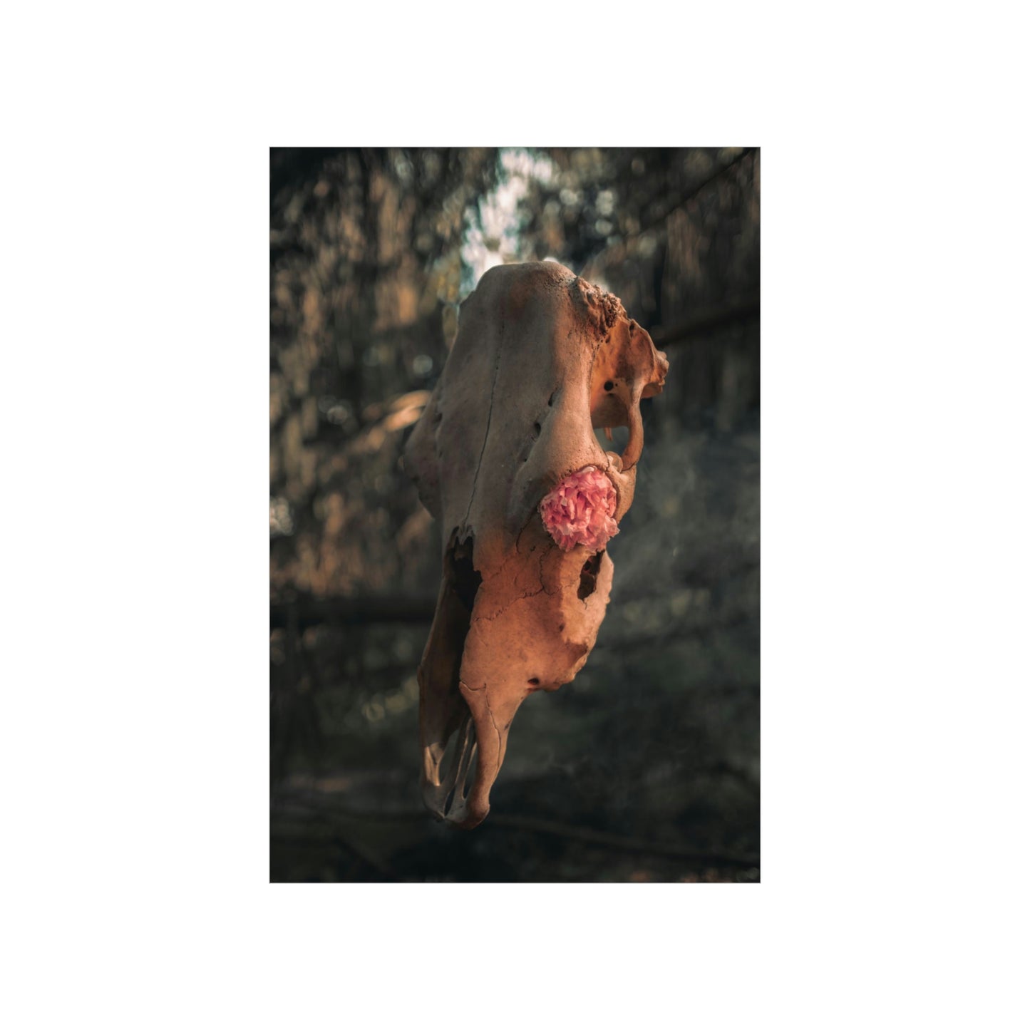 "In Bloom" Premium Matte Vertical Posters