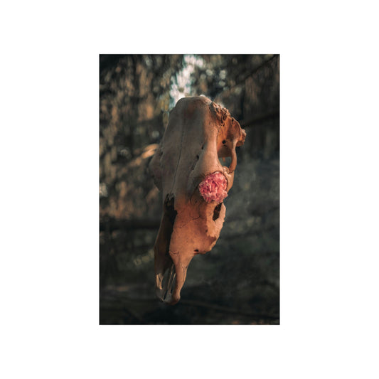 "In Bloom" Premium Matte Vertical Posters